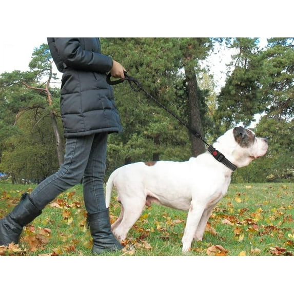 Rope Dog Leash 6.5 ft with Comfortable Padded Handle, Highly Reflective Threads Strong Dog Leash for Puppies Small Medium and Large Dogs