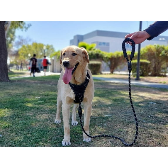 Rope Dog Leash 6.5 ft with Comfortable Padded Handle, Highly Reflective Threads Strong Dog Leash for Puppies Small Medium and Large Dogs